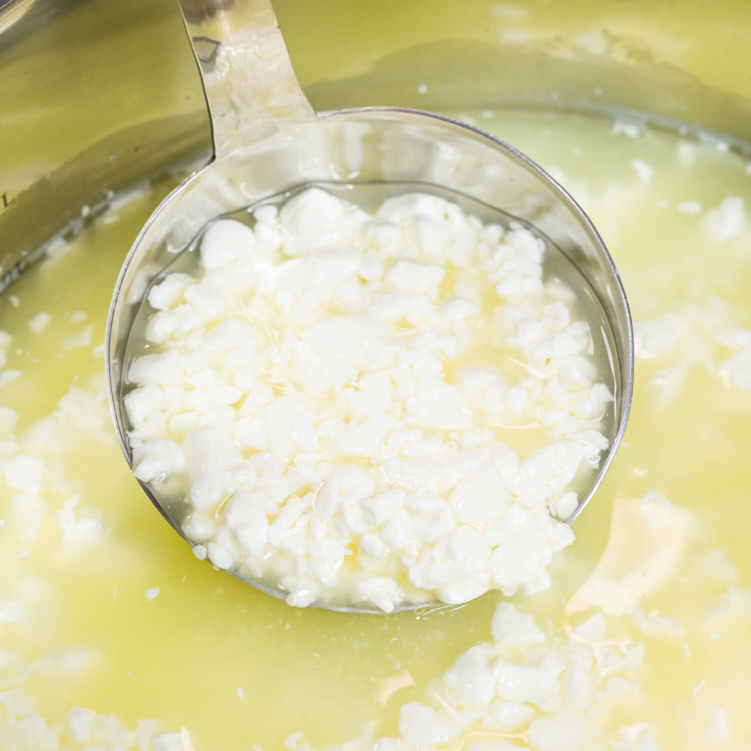 Mega-Bundle (Hart-Weichkäse Set + Gratis ME-Kultur)