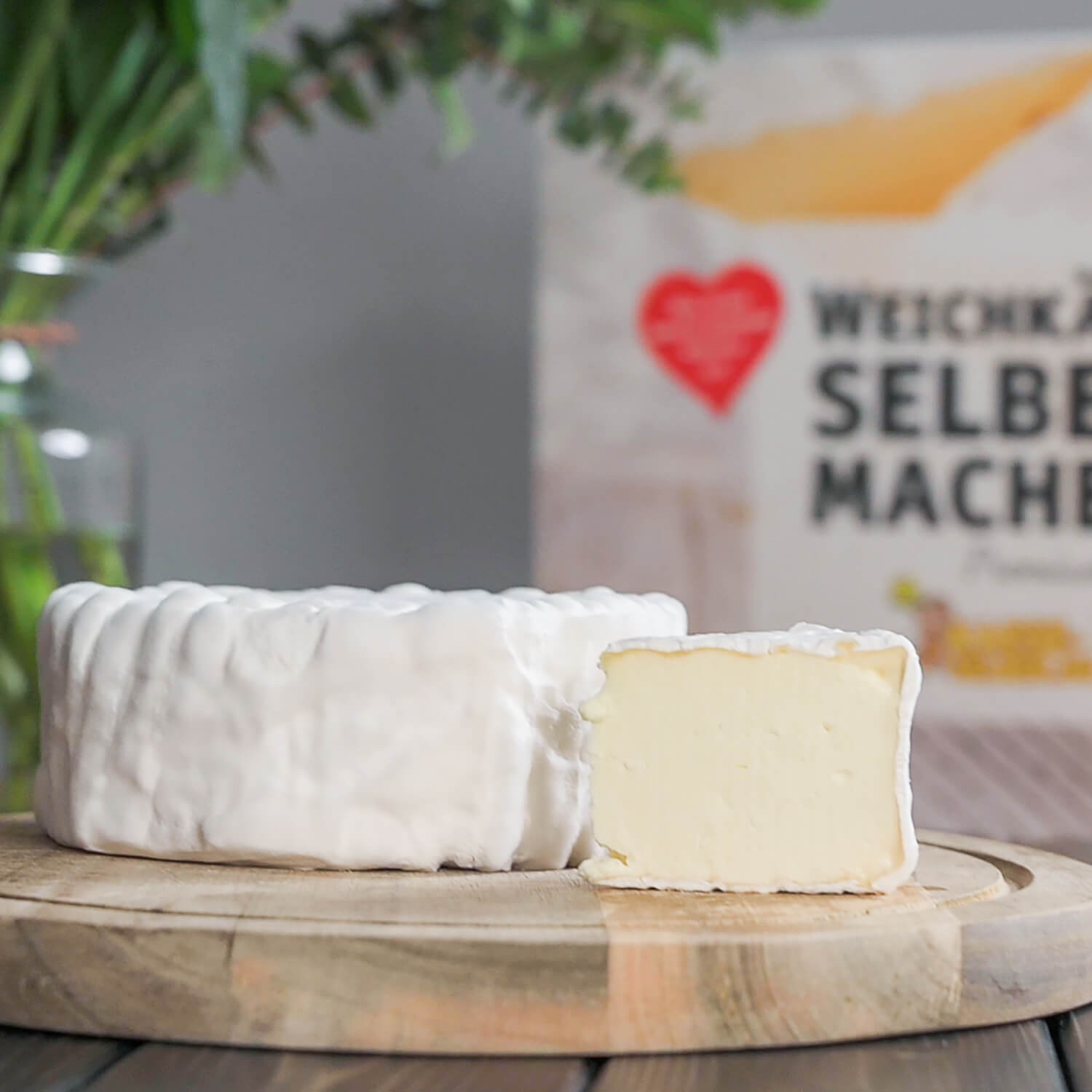 Mega-Bundle (Hart-Weichkäse Set + Gratis ME-Kultur)