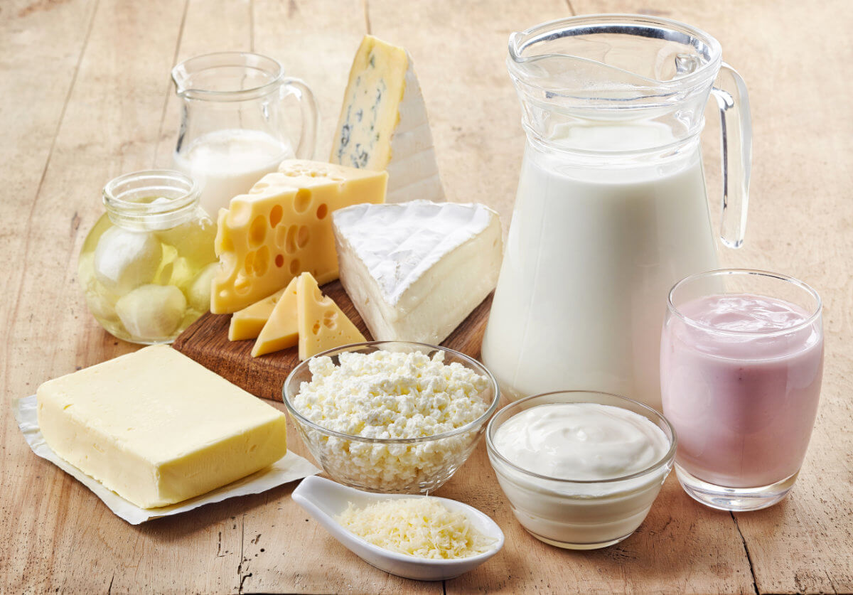 Herstellung von Käse Quark Sahne Butter Joghurt Milchverwertung im Haushalt 